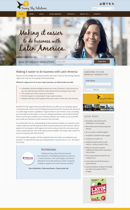 affordable web design service for consulting company