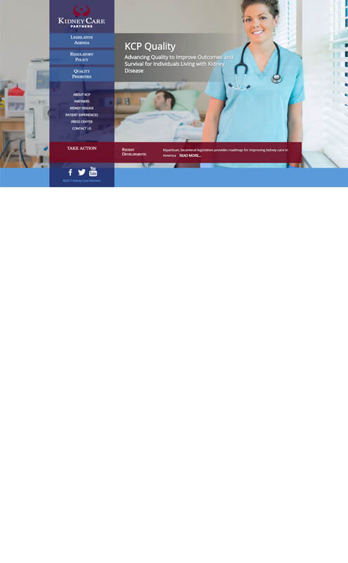 affordable freelance web designer for clinics